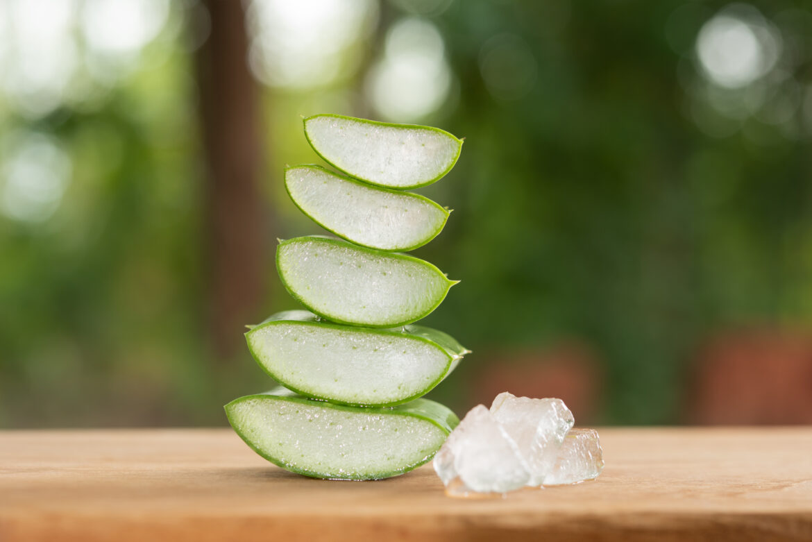 L’Aloe Ventre Heureux… sans chichis !
